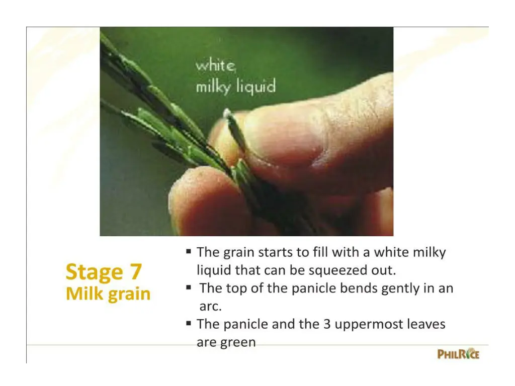 slide26