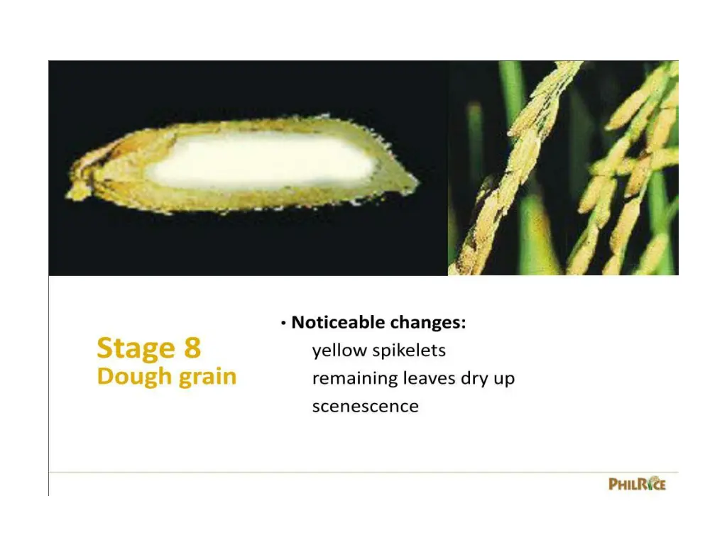 slide27
