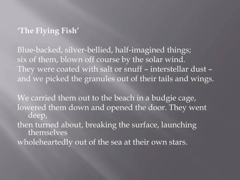 the flying fish