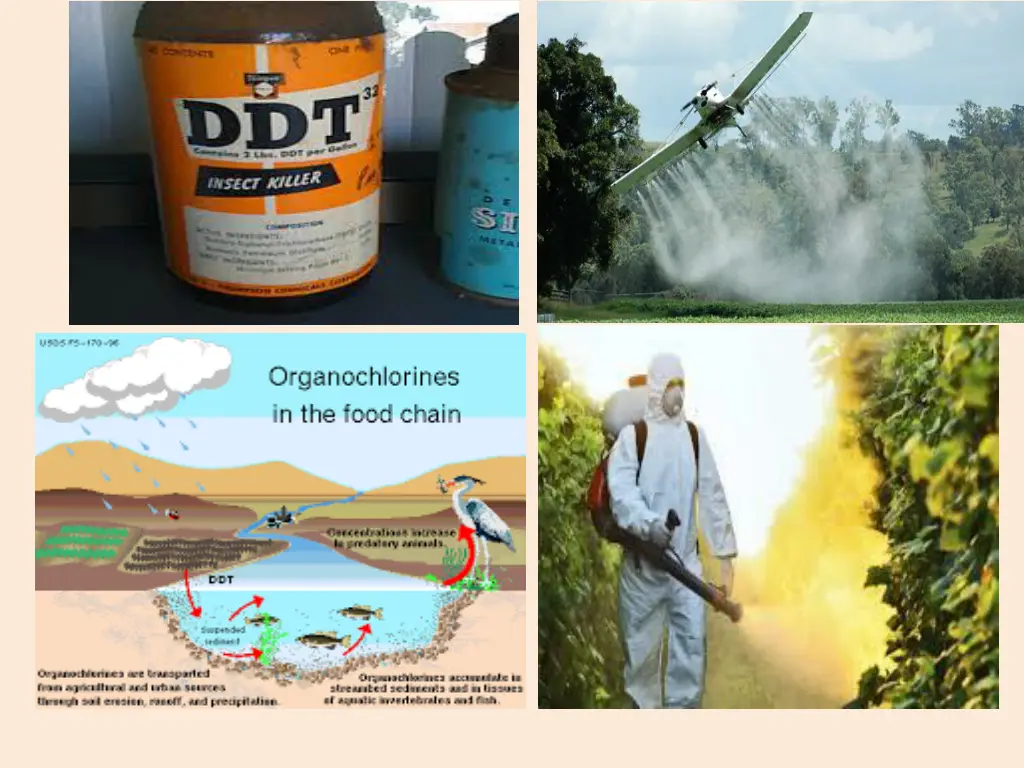 slide6