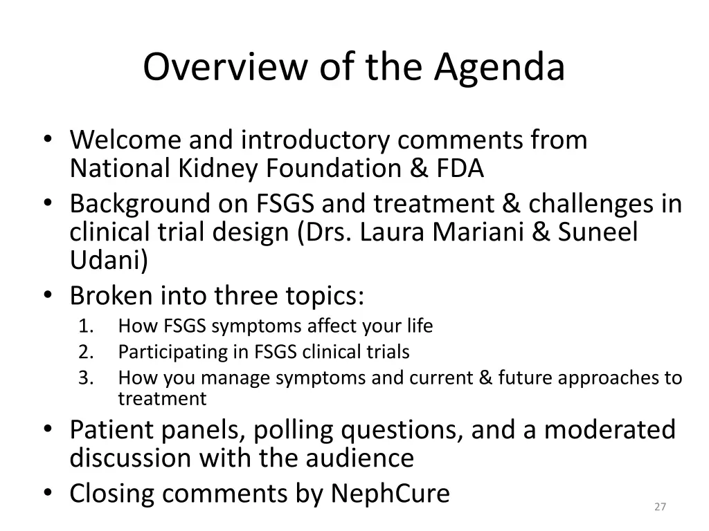 overview of the agenda