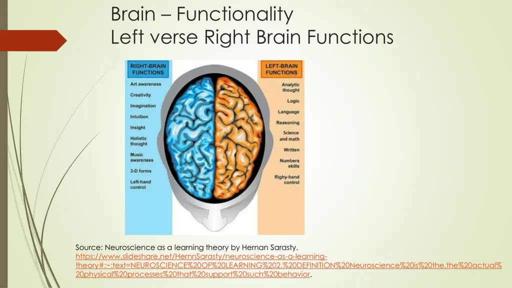 brain functionality left verse right brain