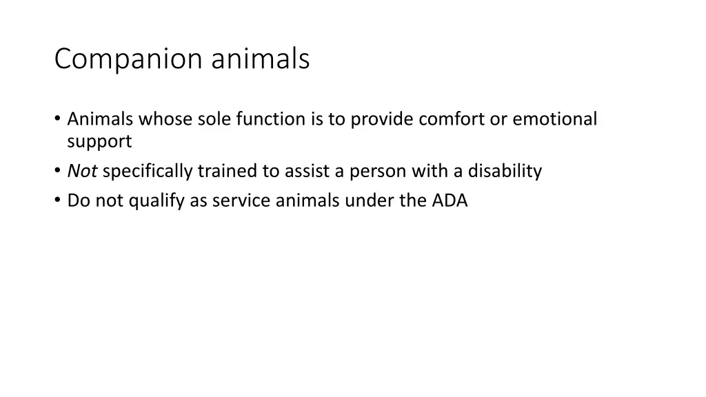 companion animals