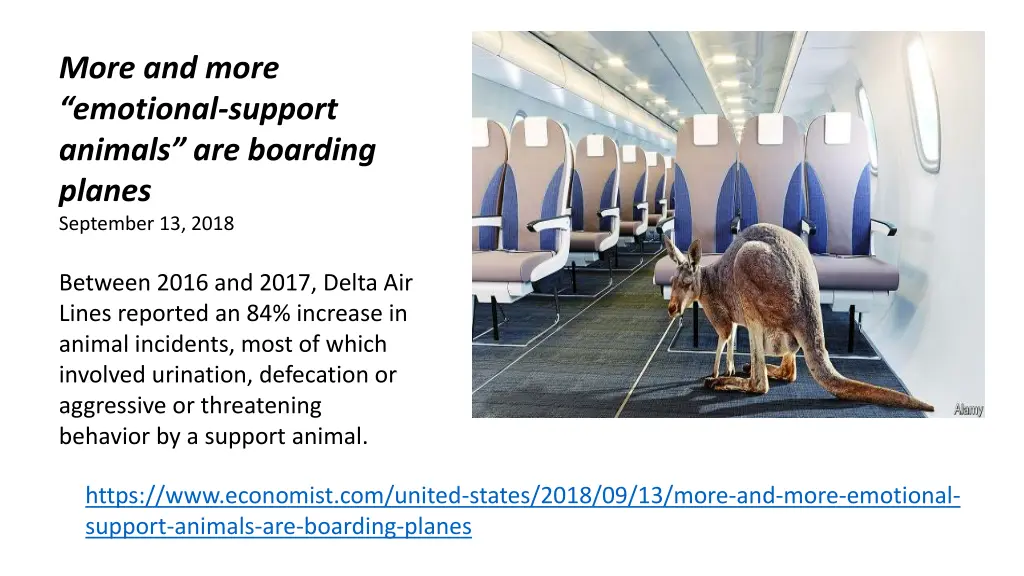 more and more emotional support animals