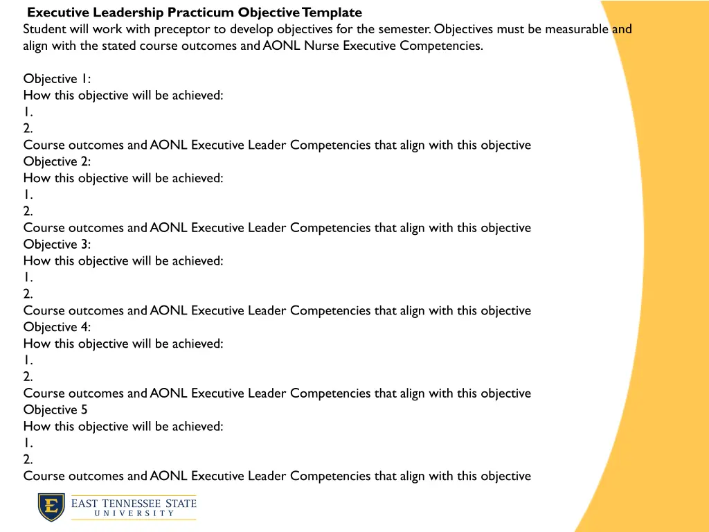 executive leadership practicum objective template