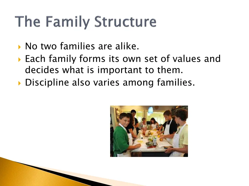 no two families are alike each family forms