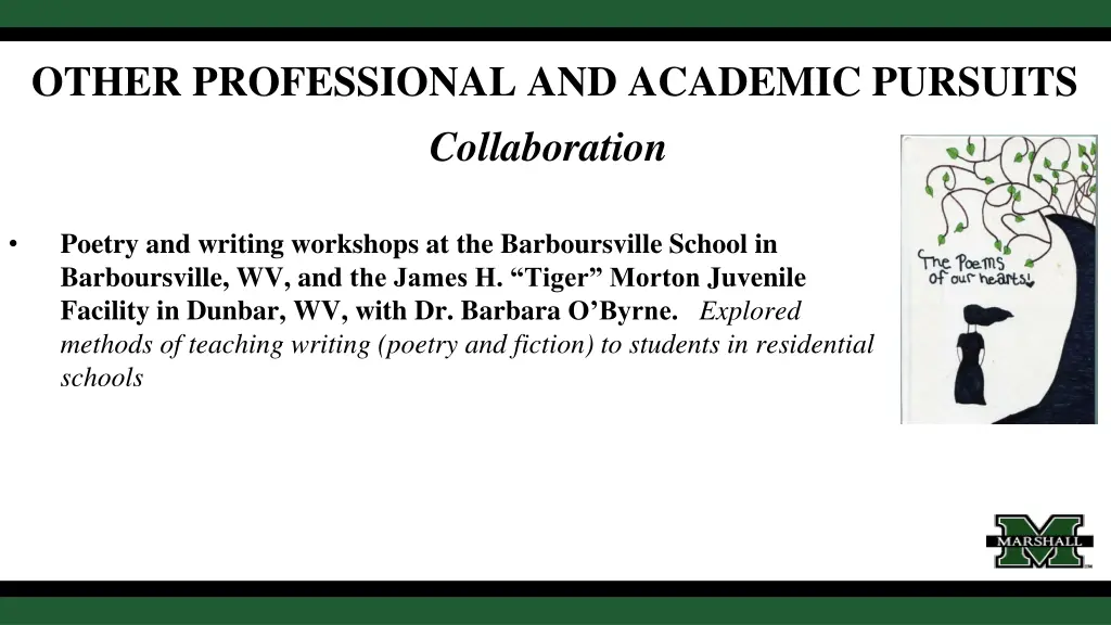 other professional and academic pursuits