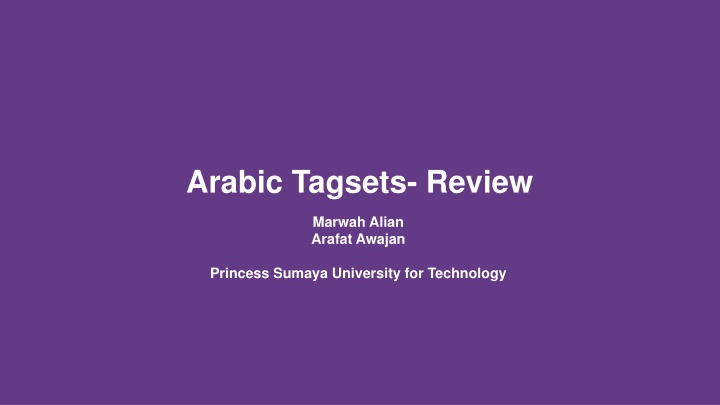 arabic tagsets review