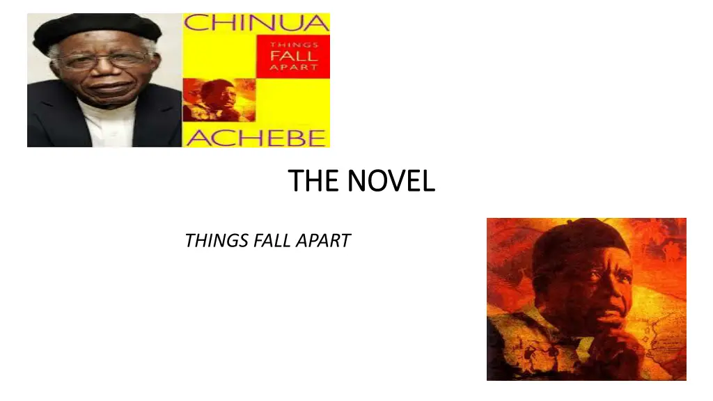 the novel the novel