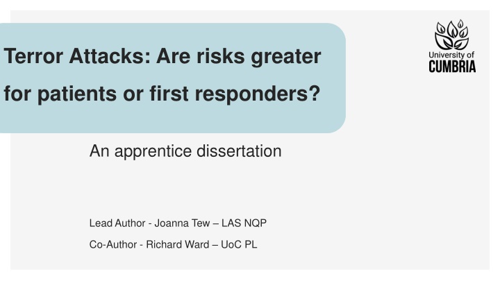 terror attacks are risks greater