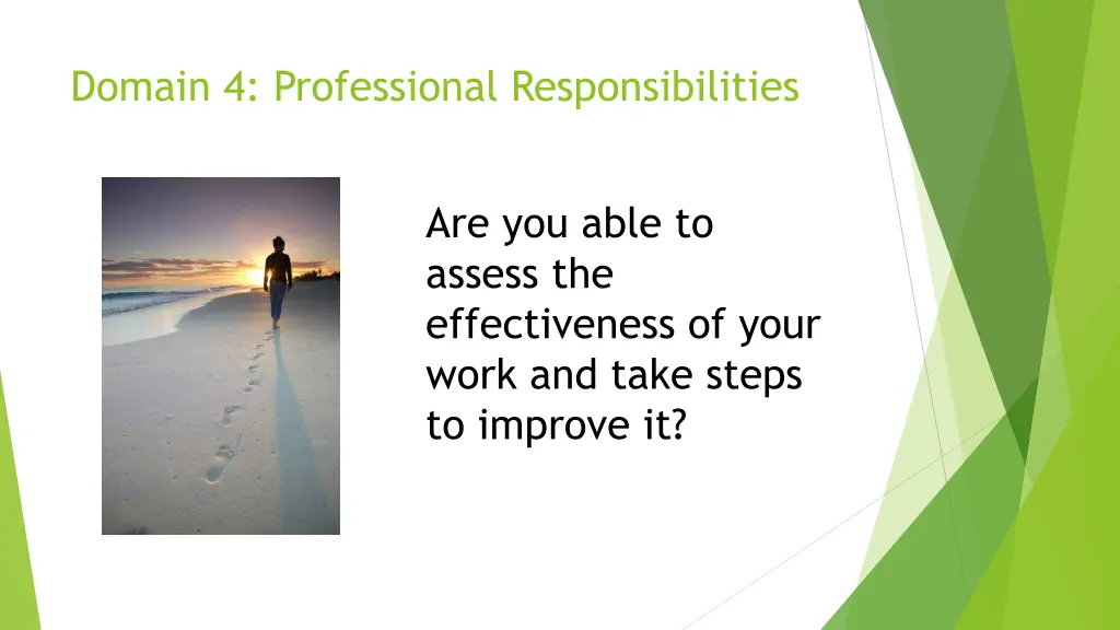 domain 4 professional responsibilities