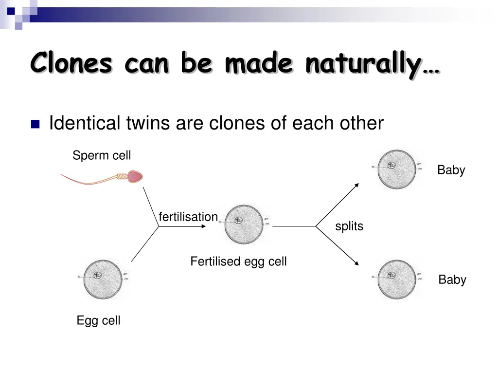 clones can be made naturally