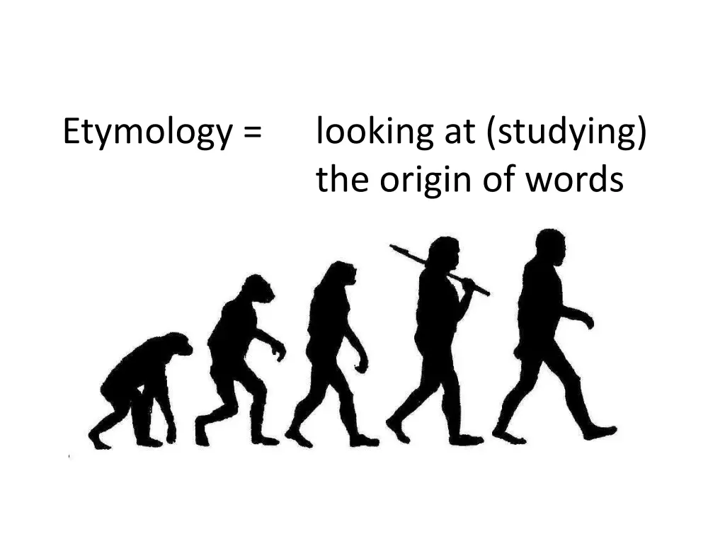 etymology looking at studying the origin of words