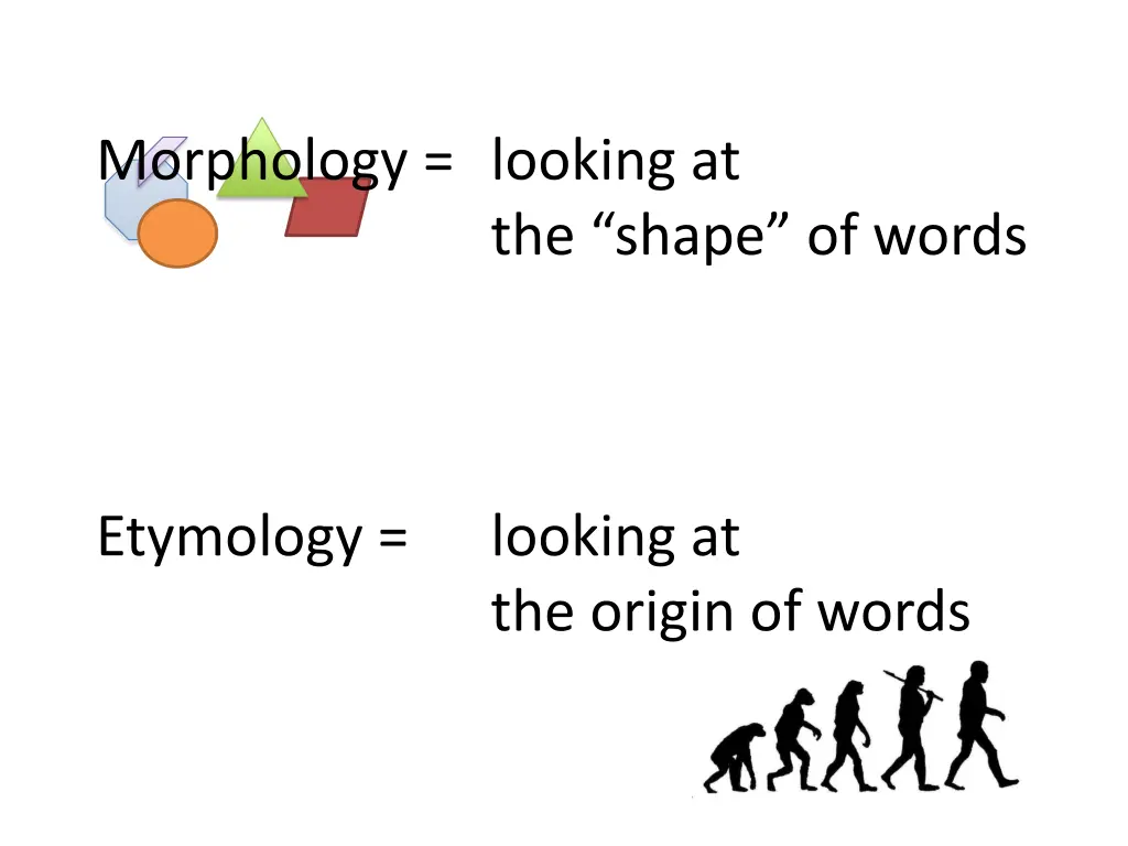 morphology looking at the shape of words