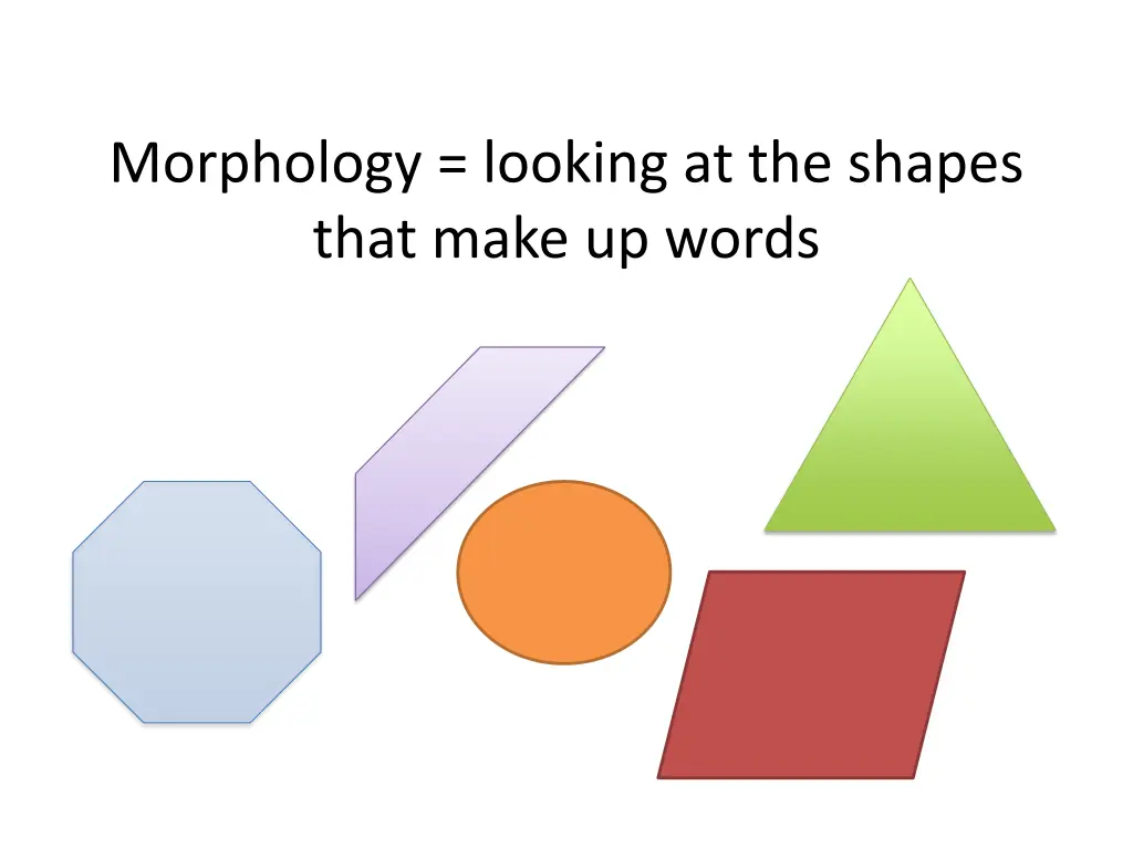 morphology looking at the shapes that make