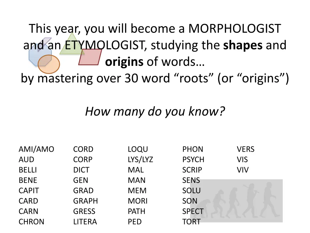 this year you will become a morphologist
