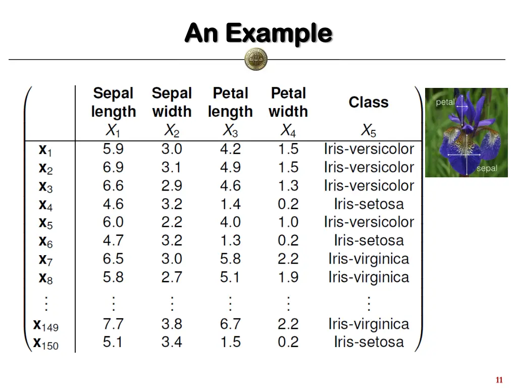 an example an example