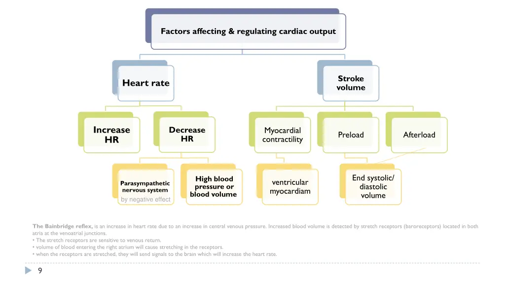 factors affecting regulating cardiac output 1