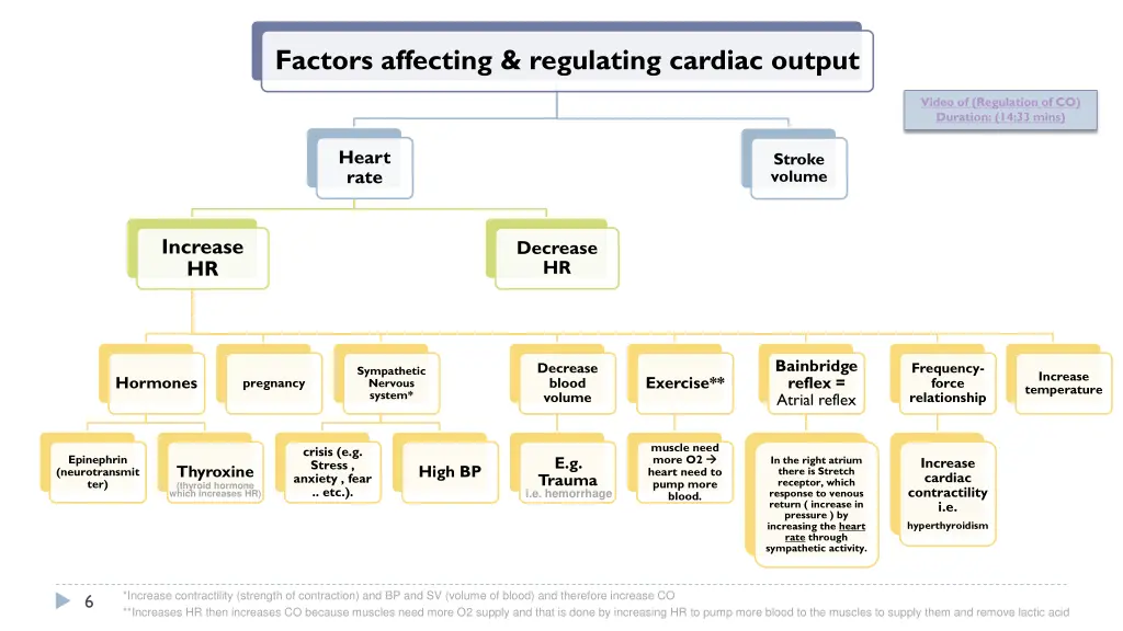 factors affecting regulating cardiac output