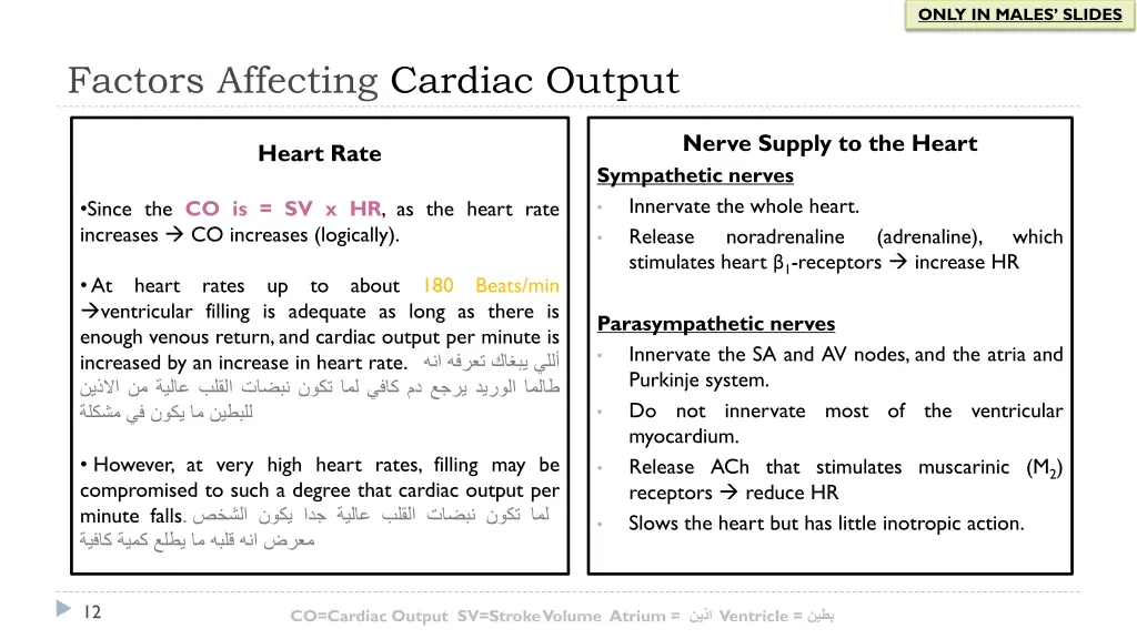 only in males slides 3