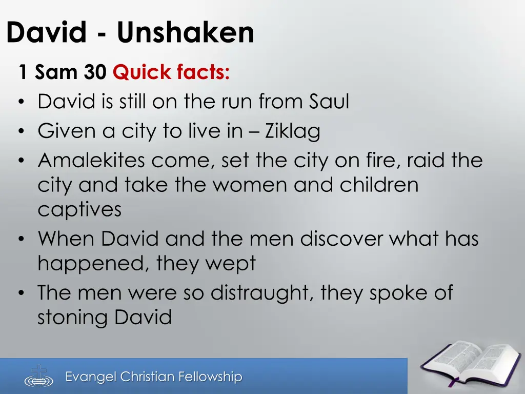 david unshaken 1 sam 30 quick facts david