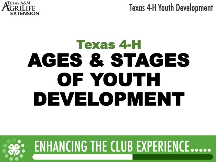texas 4 texas 4 h h