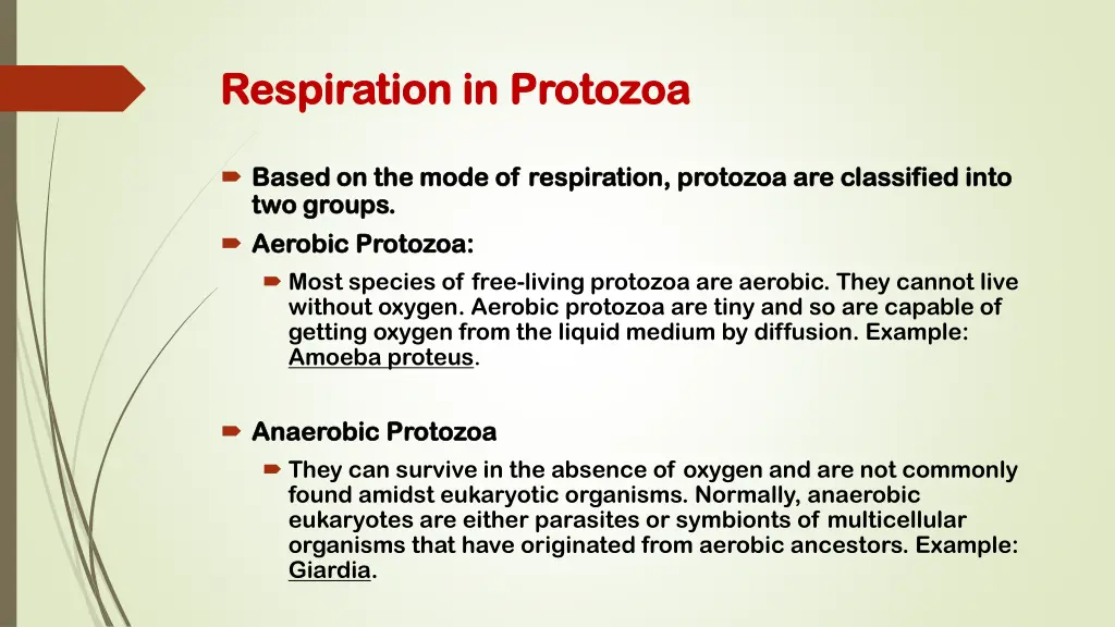 respiration respiration in protozoa
