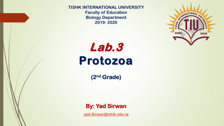 tishk international university faculty