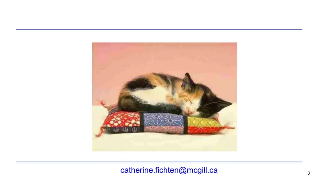 catherine fichten@mcgill ca