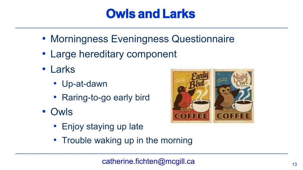 owls owlsand