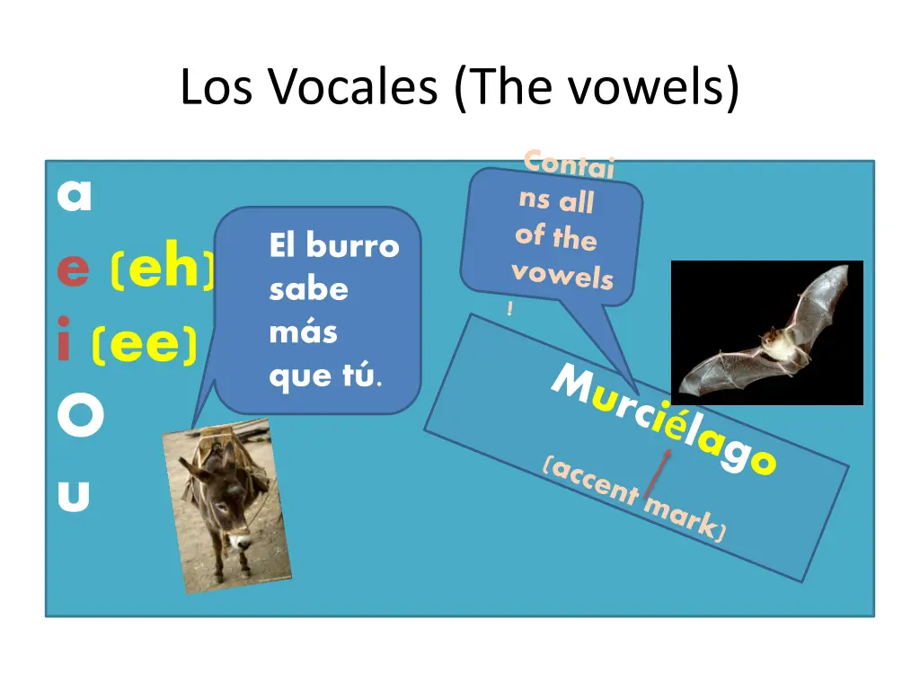 los vocales the vowels
