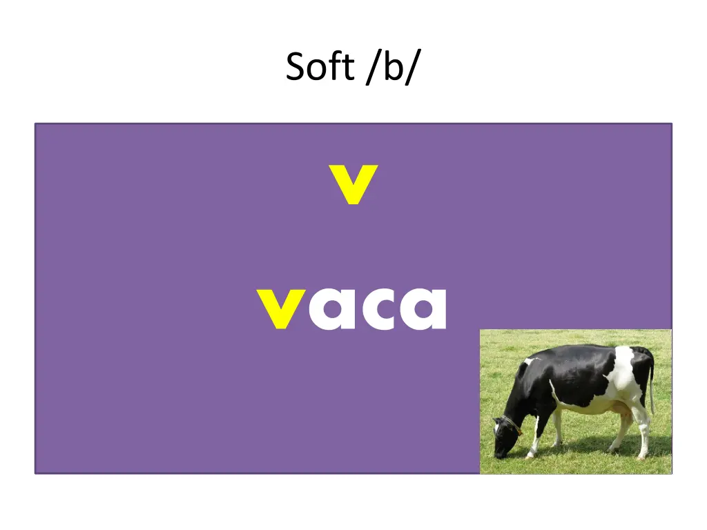 soft b