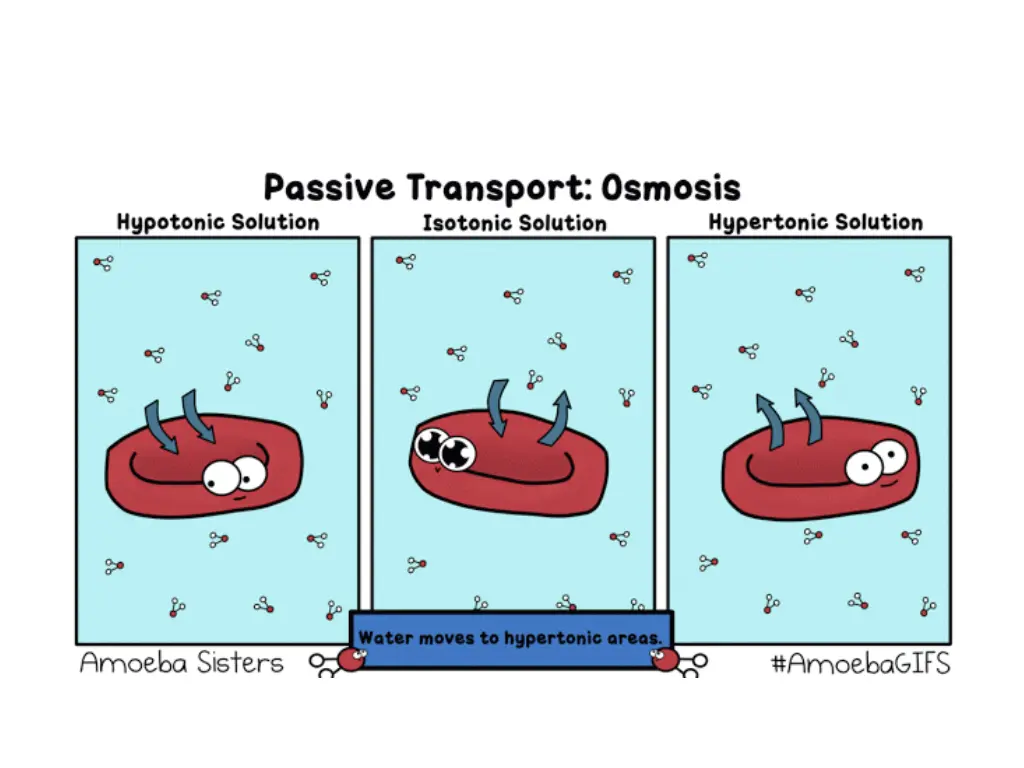 slide14