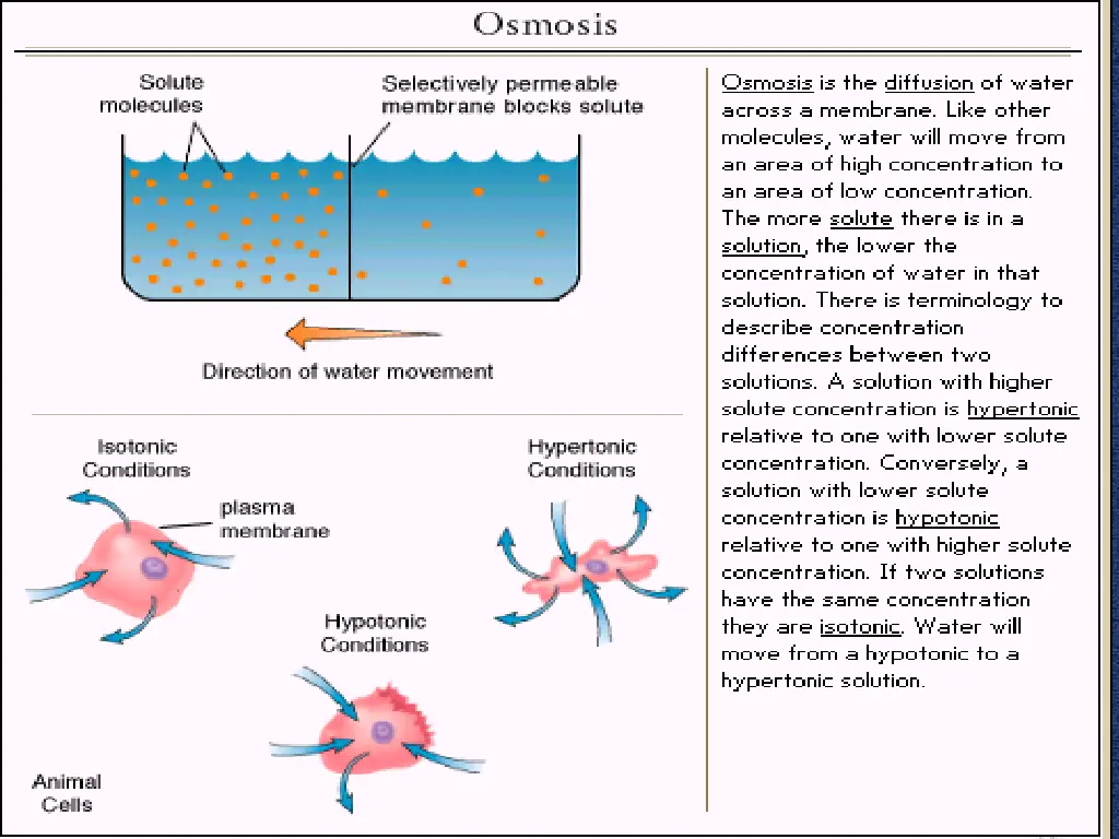 slide15