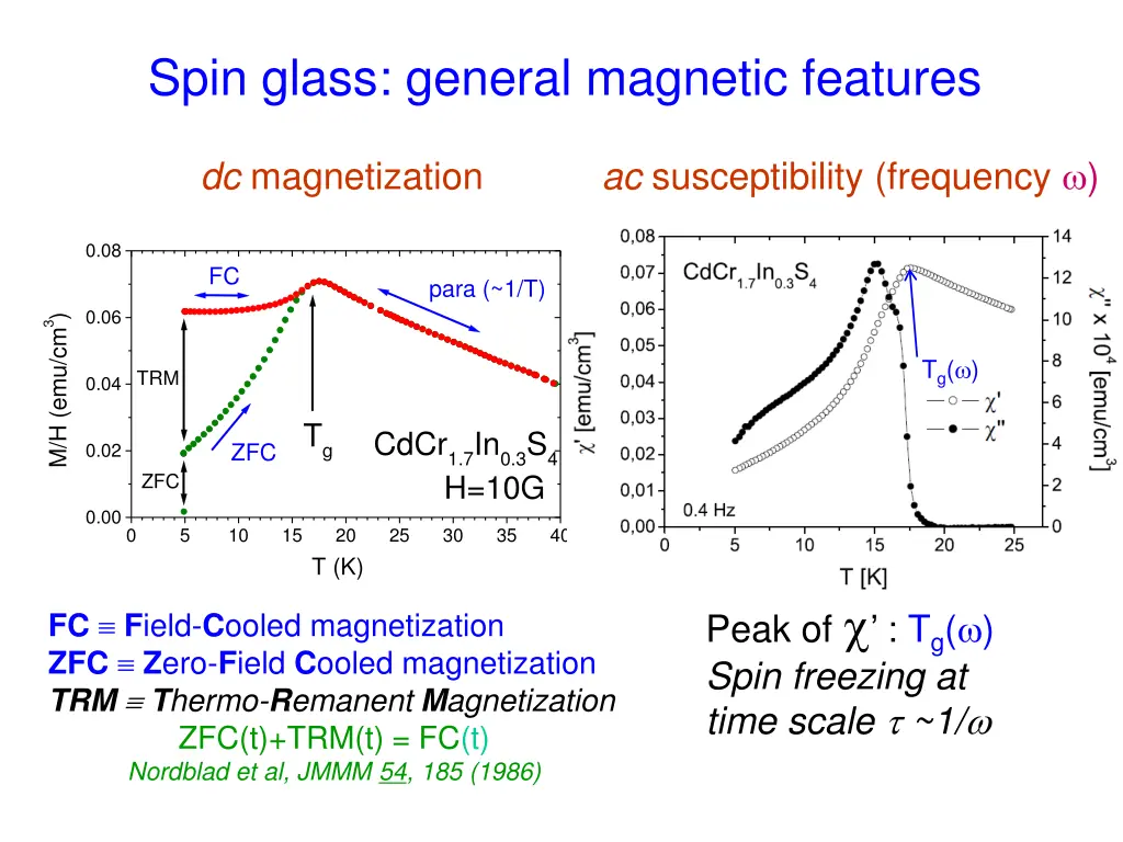 spin glass general magnetic features