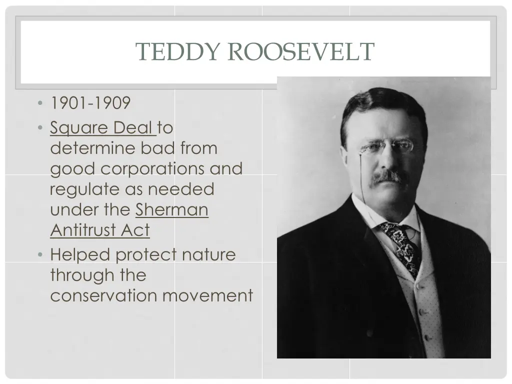 teddy roosevelt