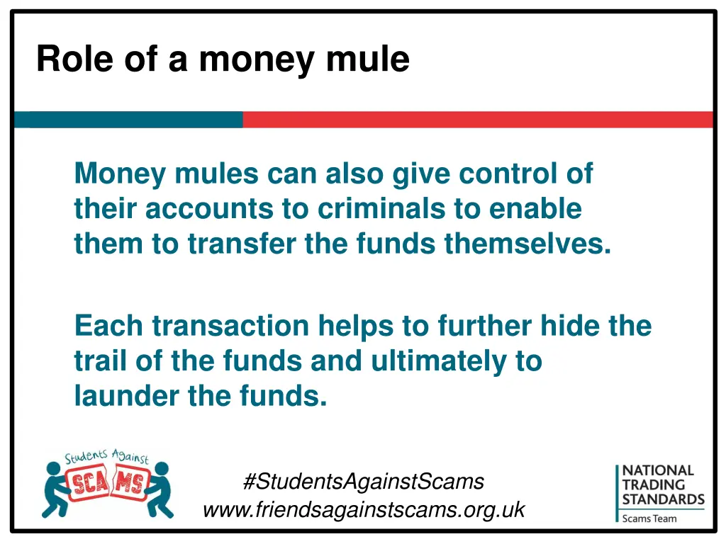 role of a money mule 1