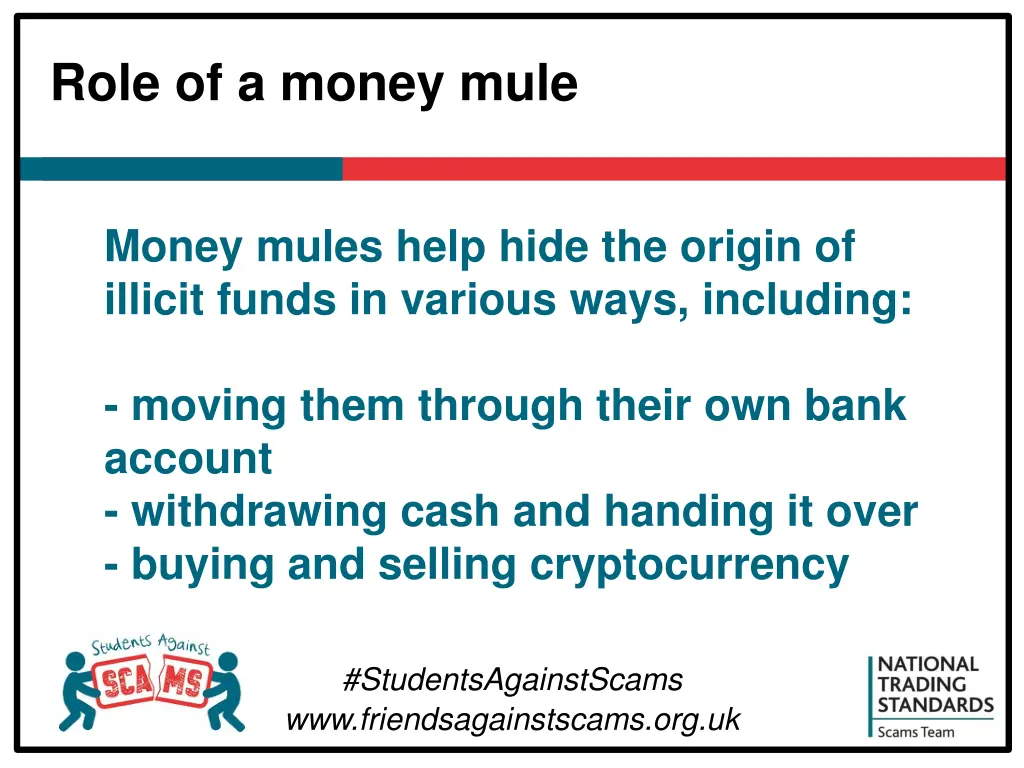role of a money mule