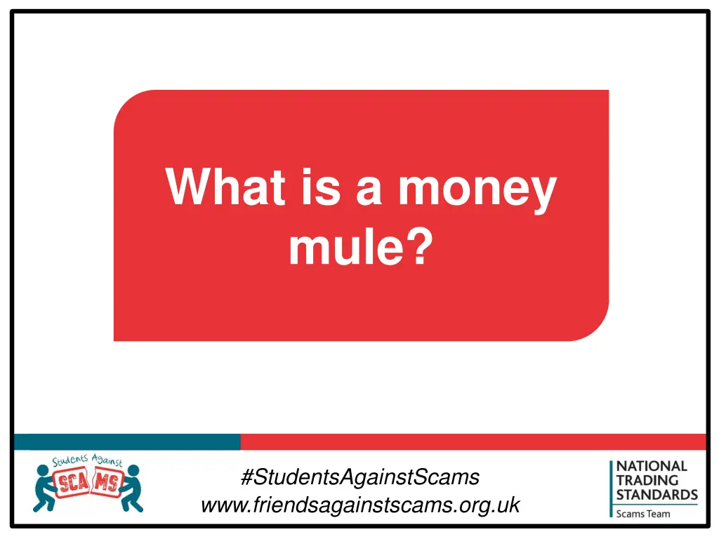 what is a money mule