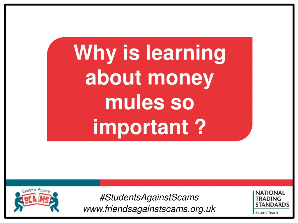 why is learning about money mules so important