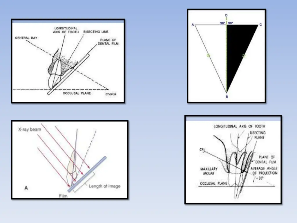 slide15