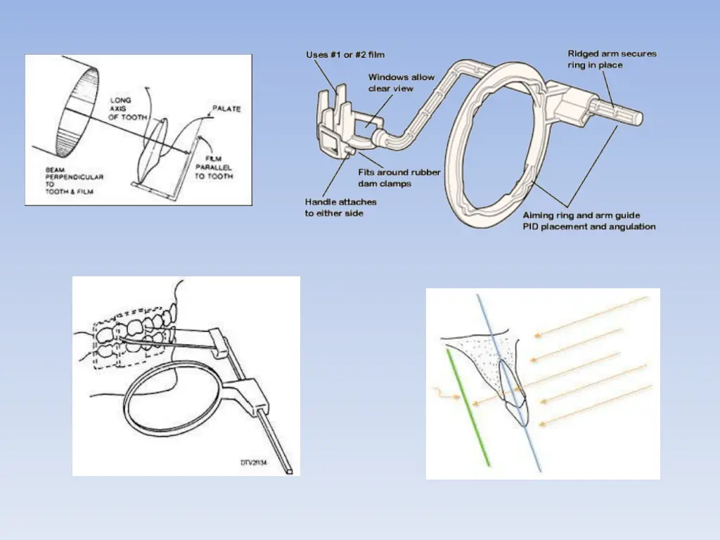 slide7
