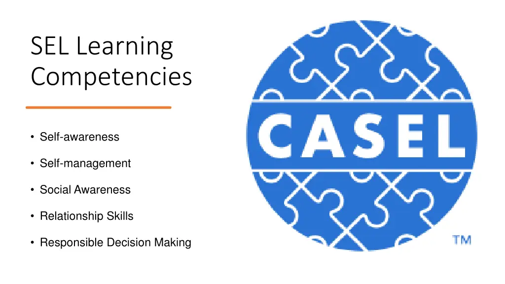sel learning competencies