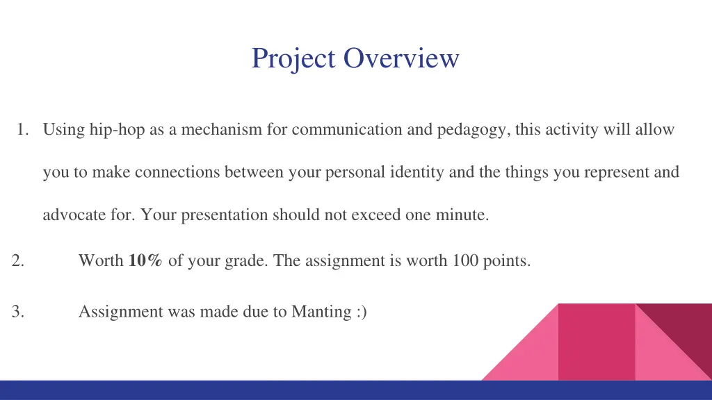 project overview