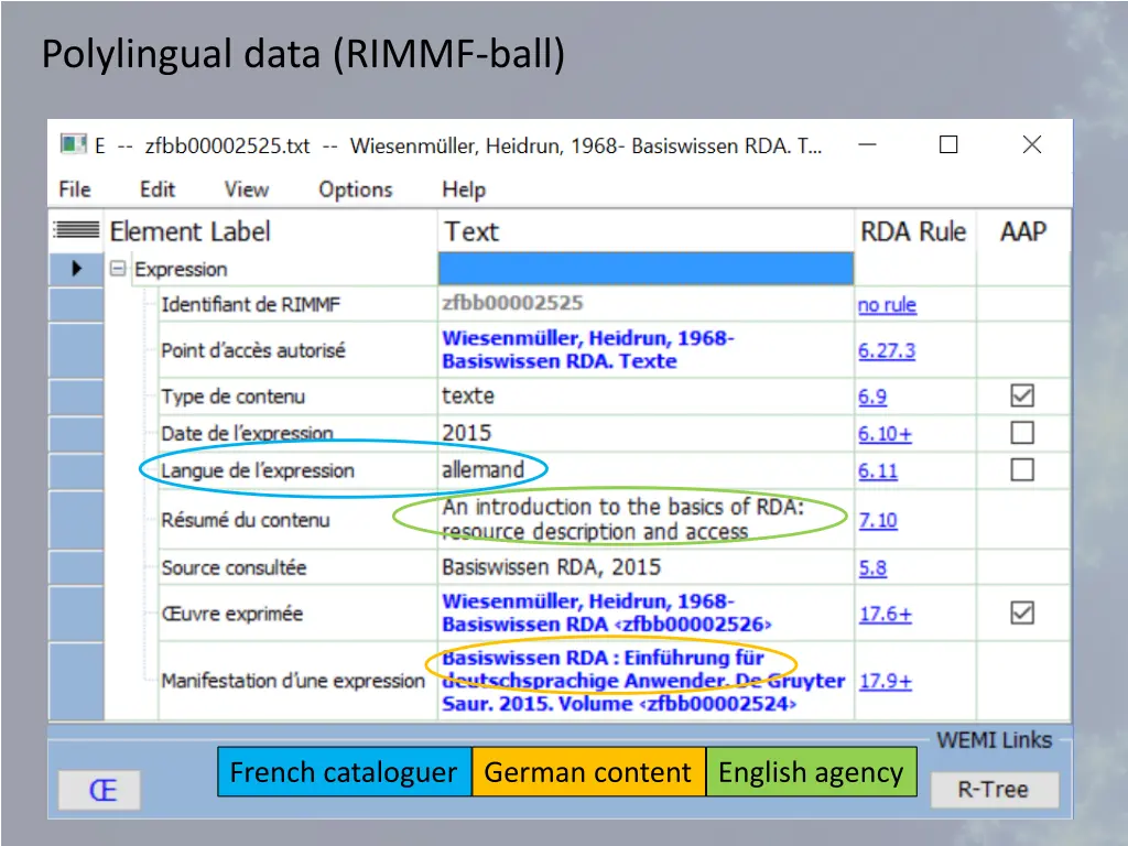 polylingual data rimmf ball