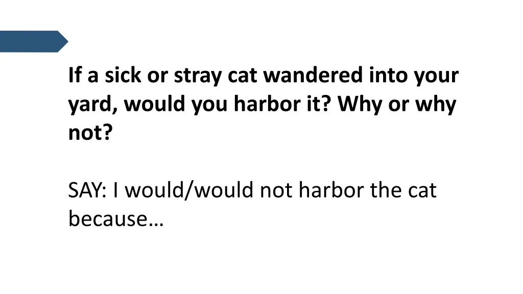 if a sick or stray cat wandered into your yard