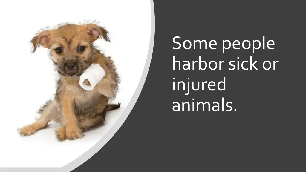 some people harbor sick or injured animals