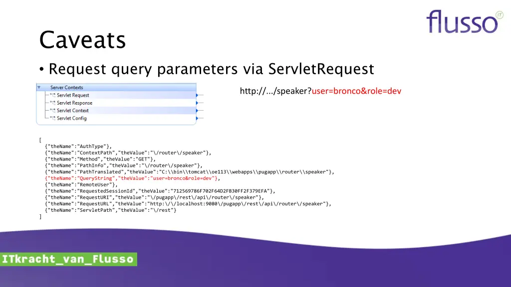 caveats request query parameters