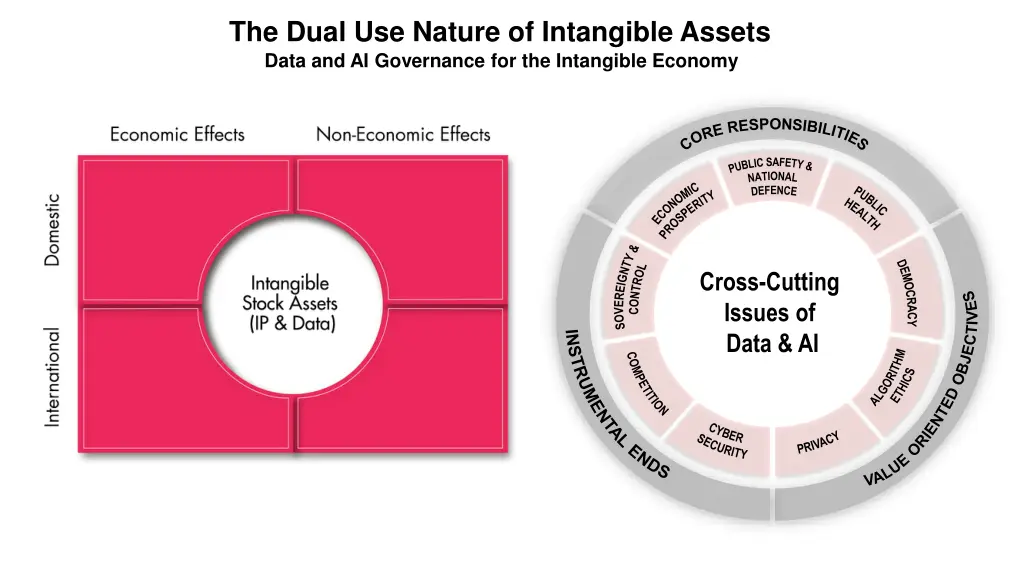 the dual use nature of intangible assets data