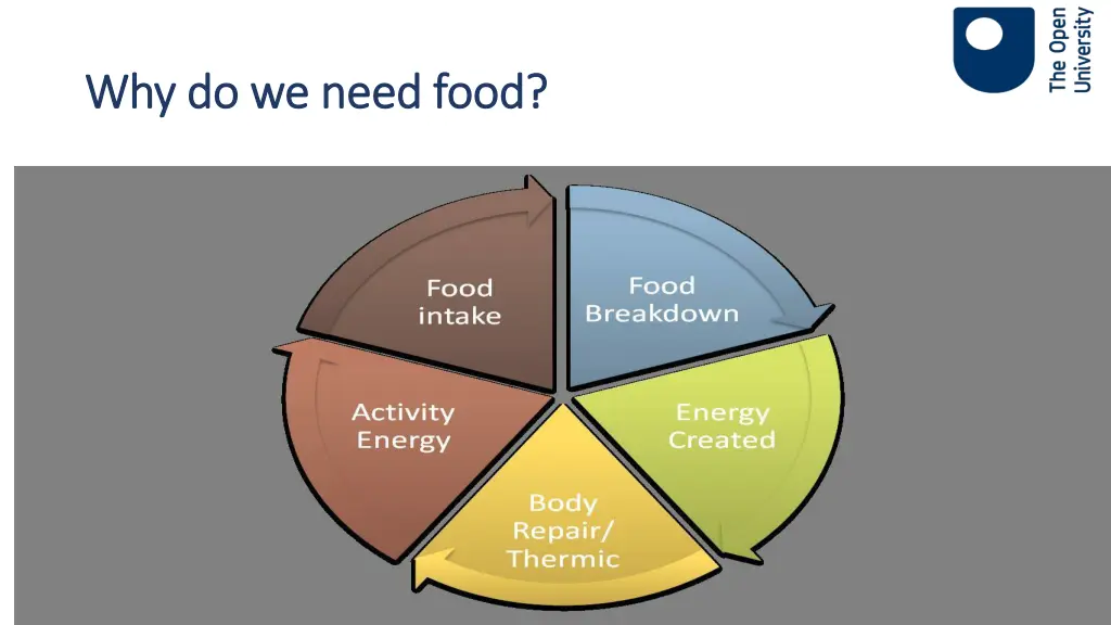 why do we need food why do we need food